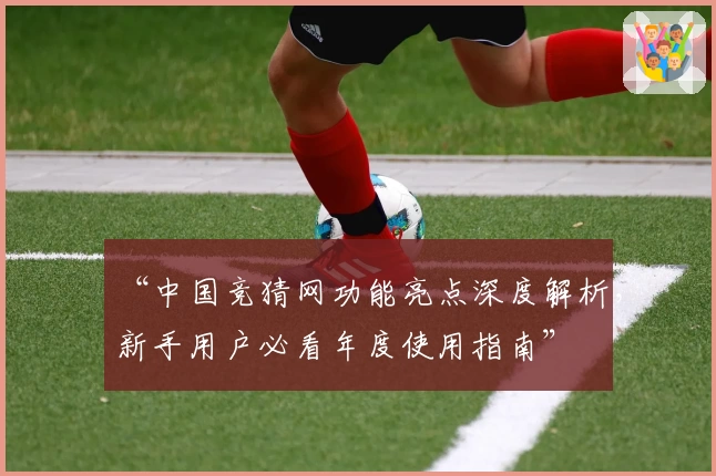 “中国竞猜网功能亮点深度解析，新手用户必看年度使用指南”