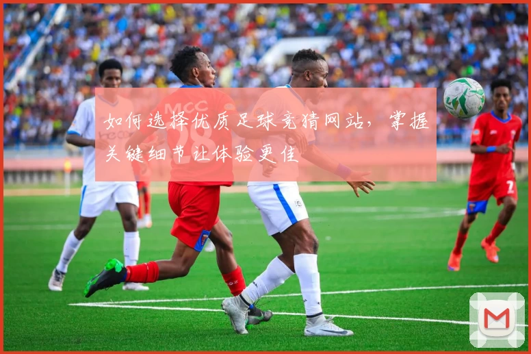 如何选择优质足球竞猜网站，掌握关键细节让体验更佳