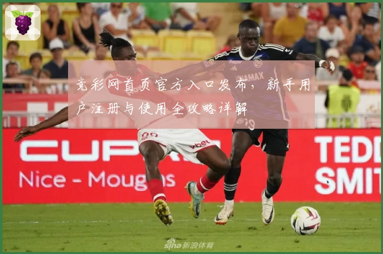 竞彩网首页官方入口发布，新手用户注册与使用全攻略详解