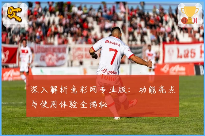 深入解析竞彩网专业版：功能亮点与使用体验全揭秘