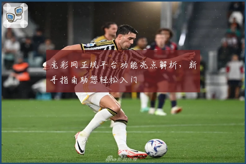 竞彩网正规平台功能亮点解析，新手指南助您轻松入门