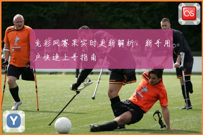 竞彩网赛果实时更新解析，新手用户快速上手指南